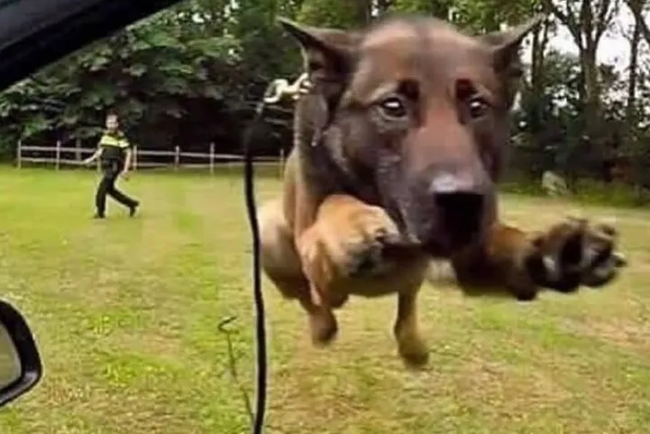 Photo by spoon on December 23, 2025.