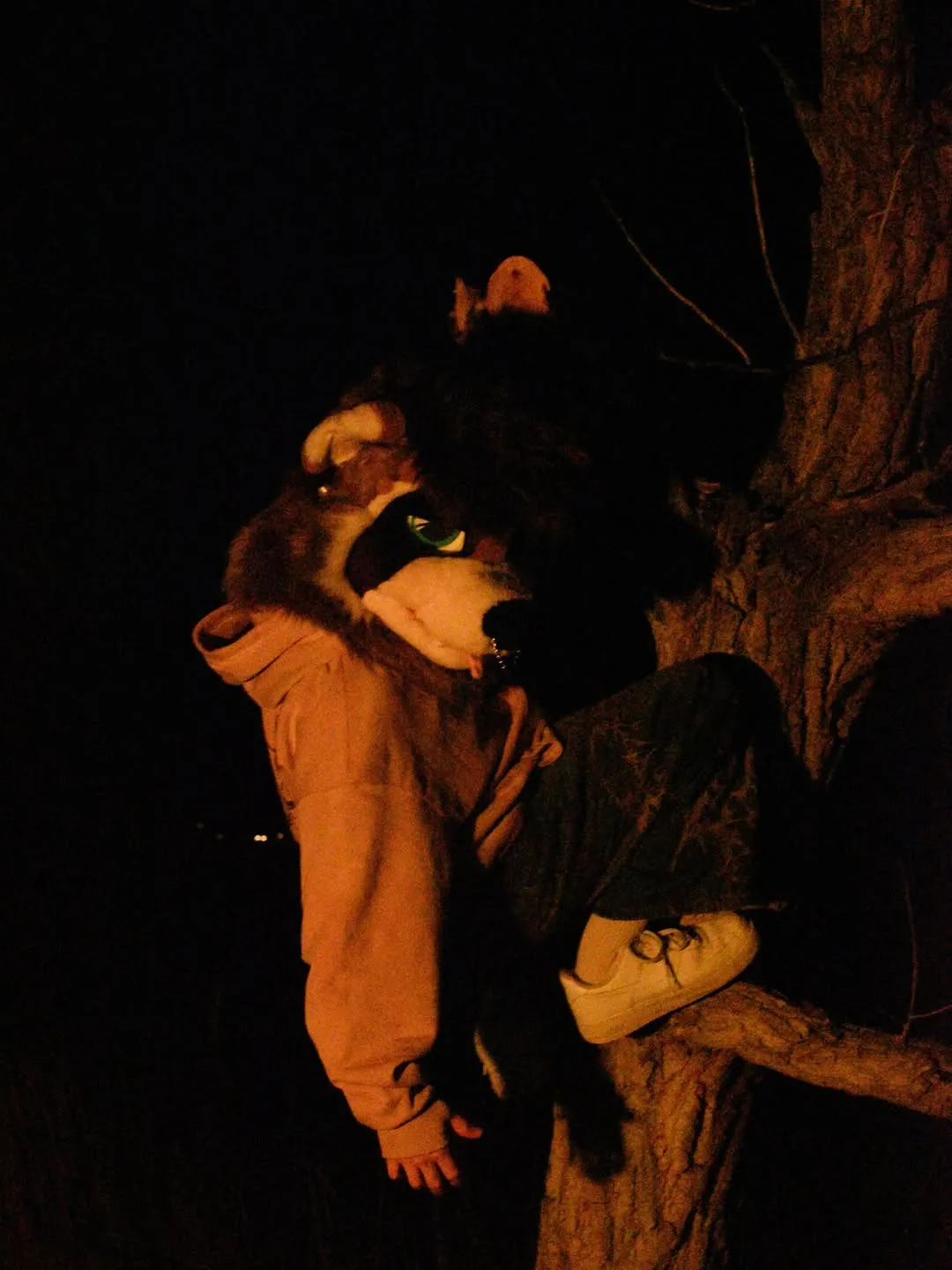 Photo by spoon on January 02, 2026. May be an image of bear.