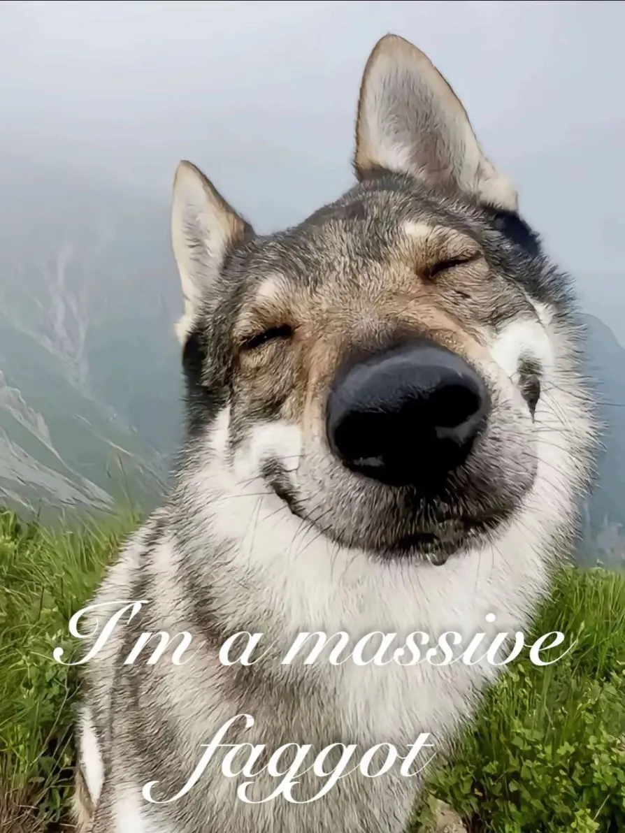 Photo by spoon on January 02, 2026. May be an image of wolf.