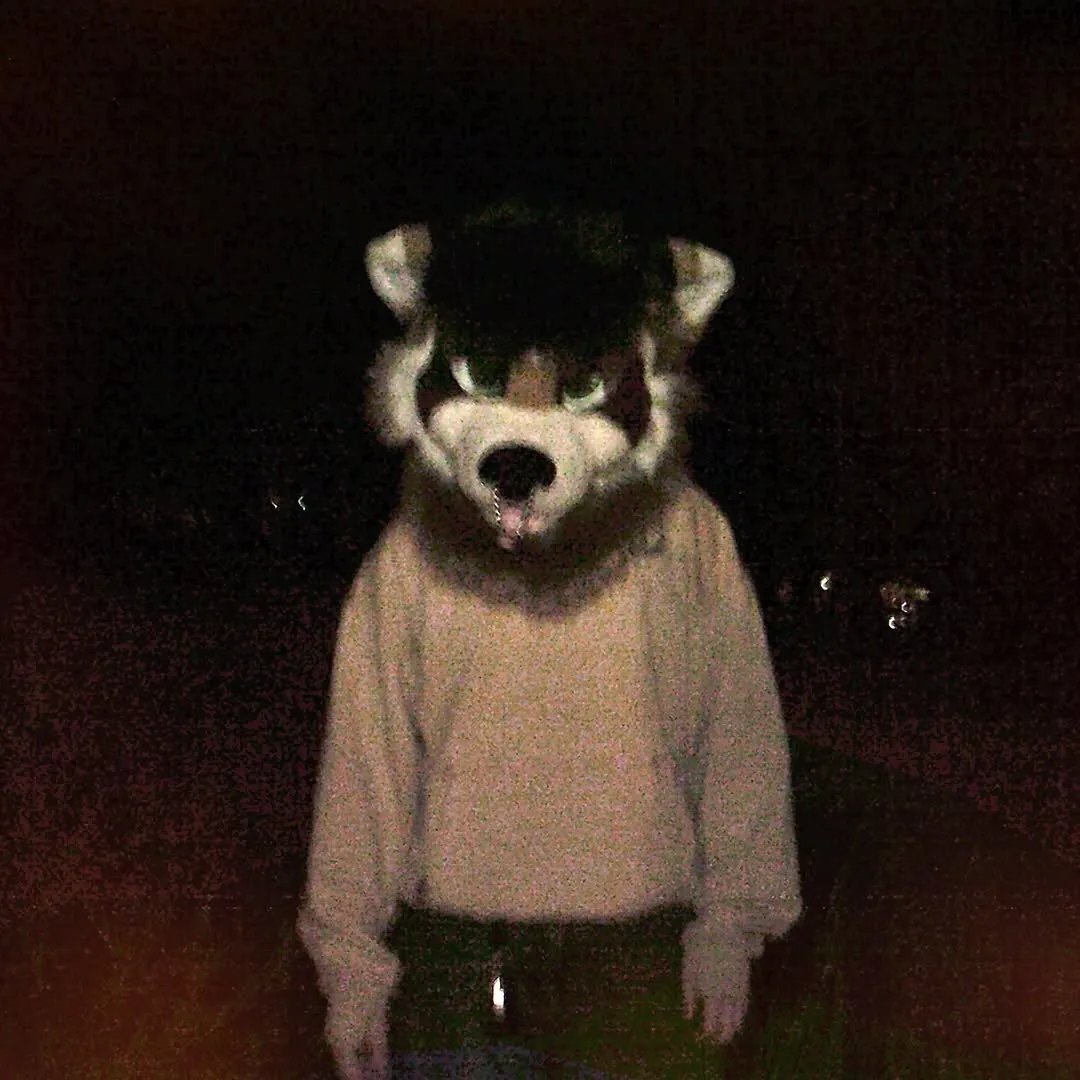 Photo by spoon on January 05, 2026. May be an image of fox.