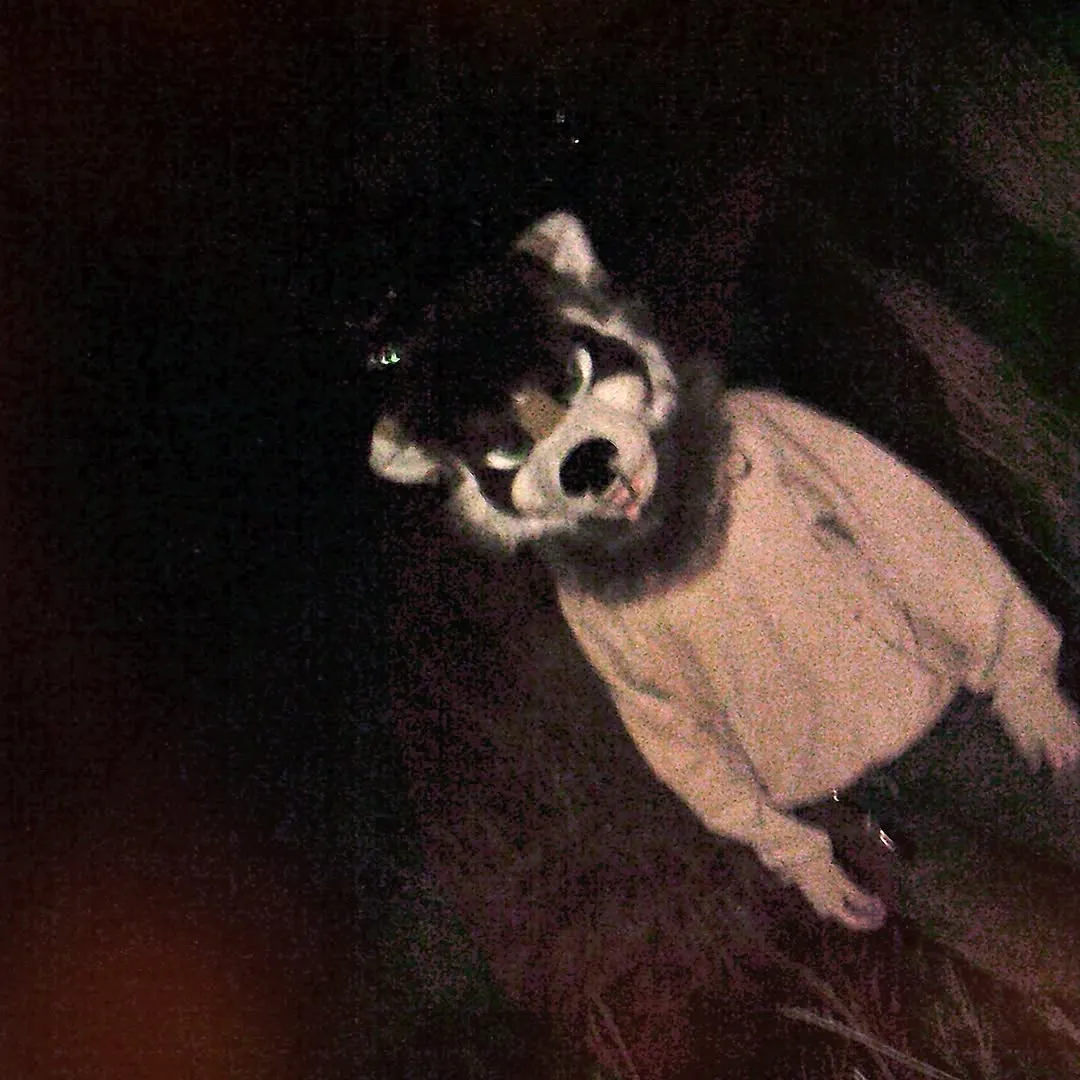 Photo by spoon on January 05, 2026. May be an image of gas mask.