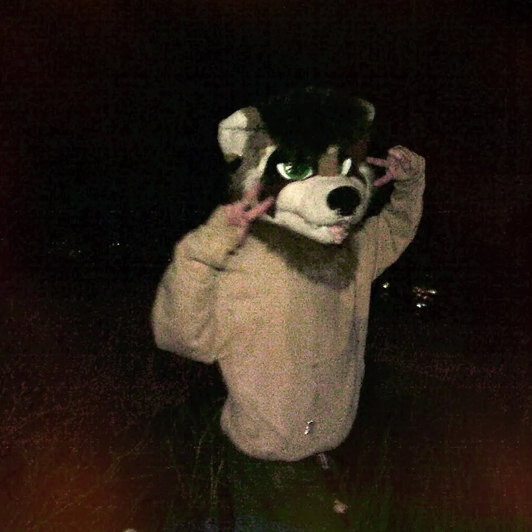 Photo by spoon on January 05, 2026. May be an image of fox.