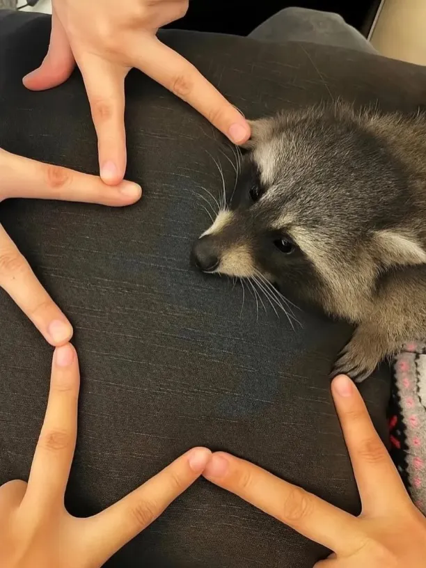 Photo by spoon on January 18, 2026. May be an image of text.