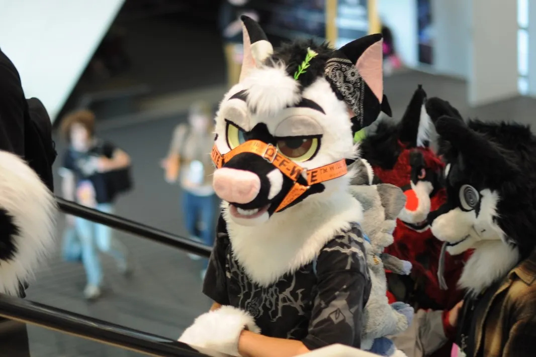 Photo by spoon on January 21, 2026. May be an image of fox, costume and text.