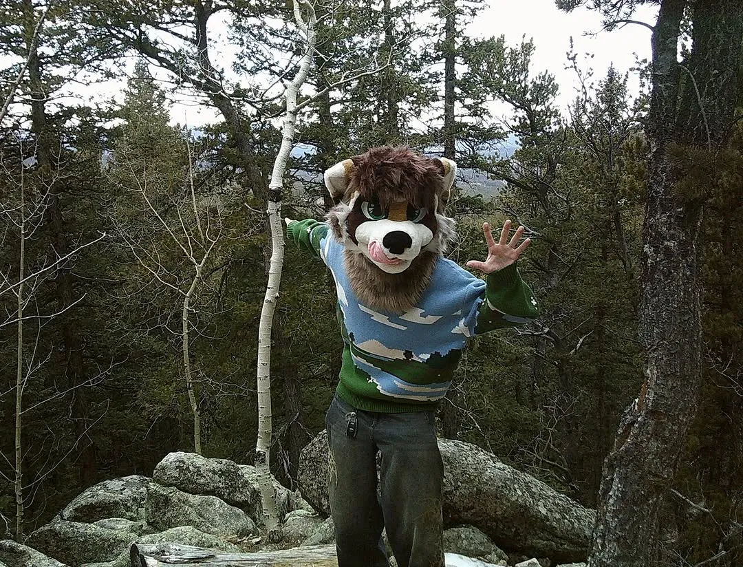 Photo by spoon on February 13, 2026. May be an image of bear, costume and text.