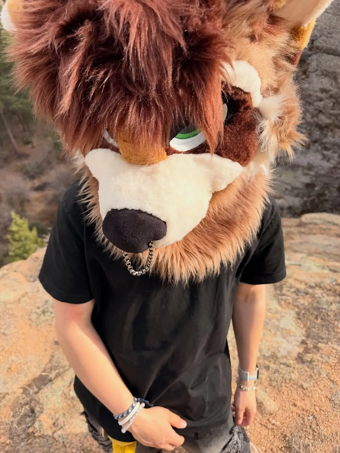 Photo by spoon on April 09, 2026. May be an image of fox, costume, fur and text.