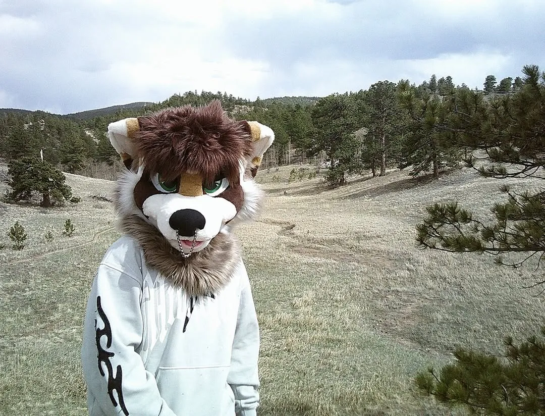 Photo by spoon on April 01, 2026. May be an image of fox, wolf and text.