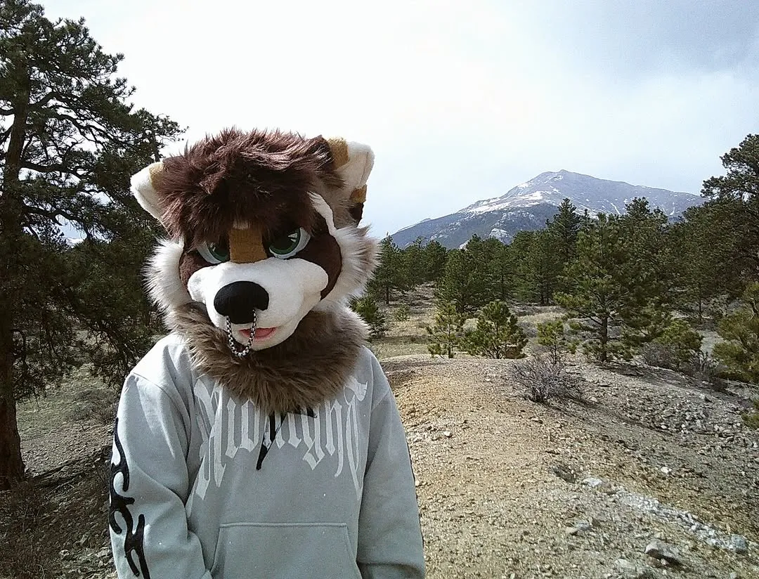 Photo by spoon on April 01, 2026. May be an image of fox and text.