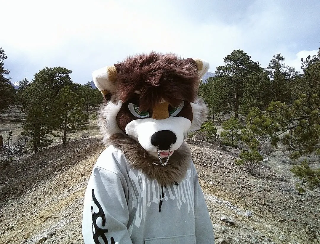 Photo by spoon on April 01, 2026. May be an image of fox and text.