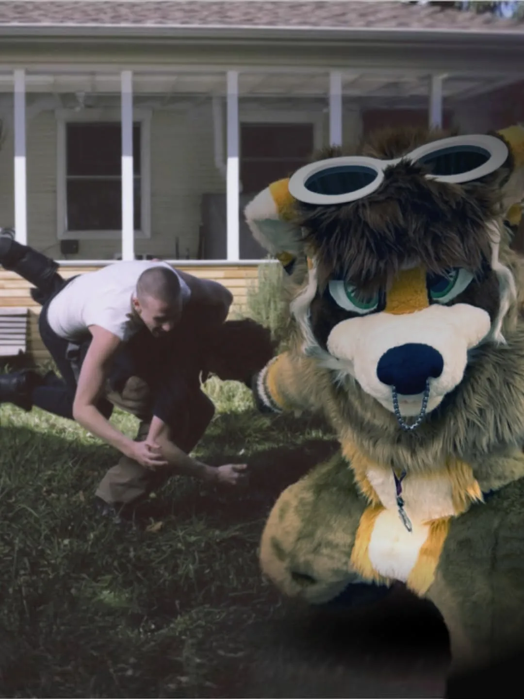 Photo by spoon on April 17, 2026. May be an image of fox, glasses and text.