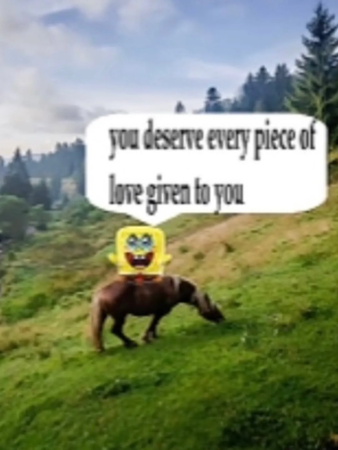 Photo by spoon on April 28, 2026. May be a meme of pony, donkey and text that says 'you deserre every piece of loregirentoyou giren to YOu'.